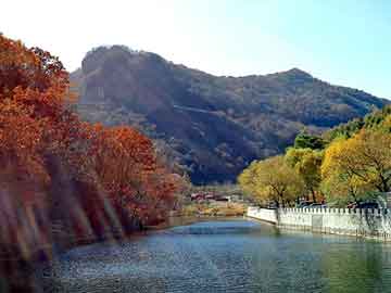 奥门天天开奖免费资料，龙井seo排名